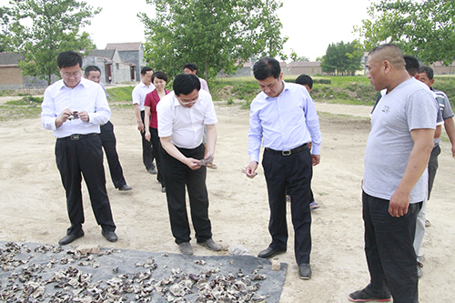 抖圈-为du而生官网入口