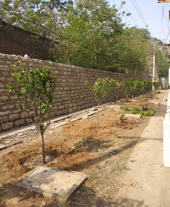 抖圈-为du而生官网入口